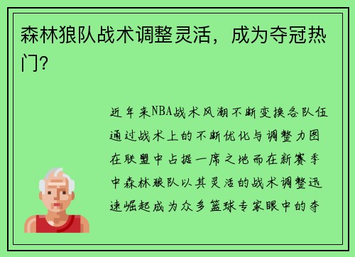森林狼队战术调整灵活，成为夺冠热门？